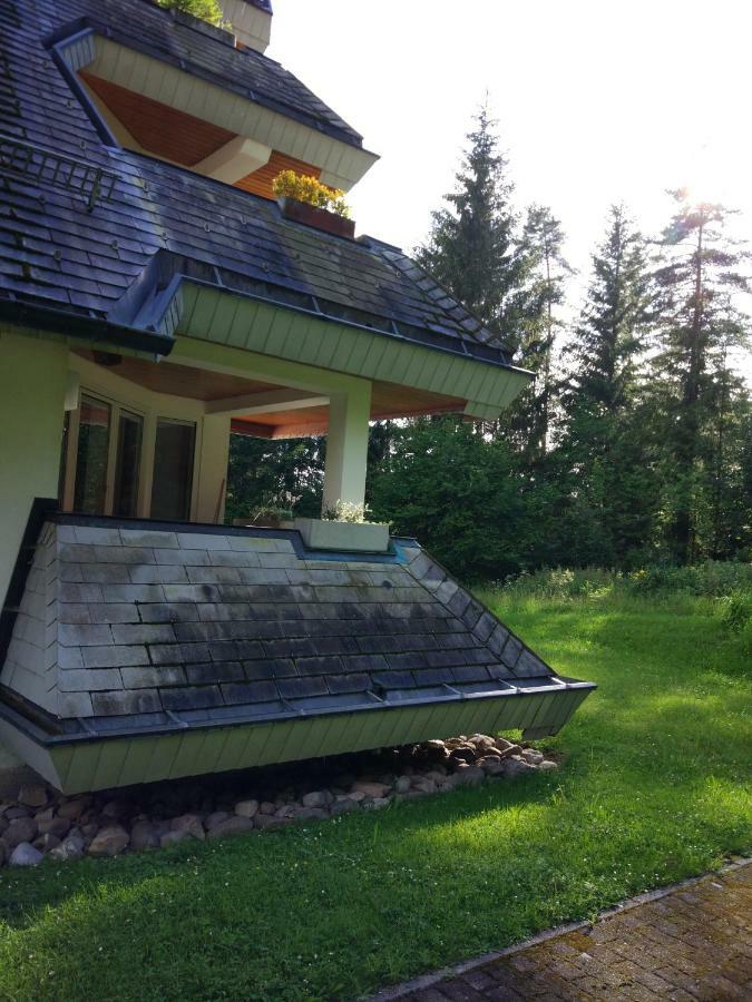 Black Forest Bollenhut Deluxe Lenzkirch Eksteriør bilde