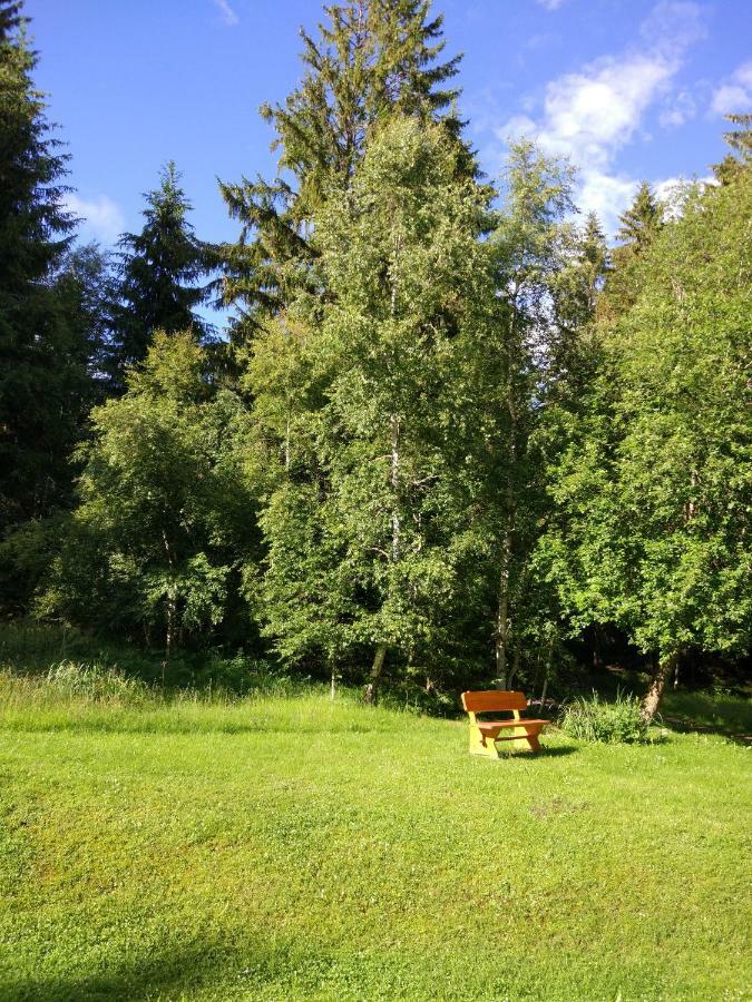 Black Forest Bollenhut Deluxe Lenzkirch Eksteriør bilde